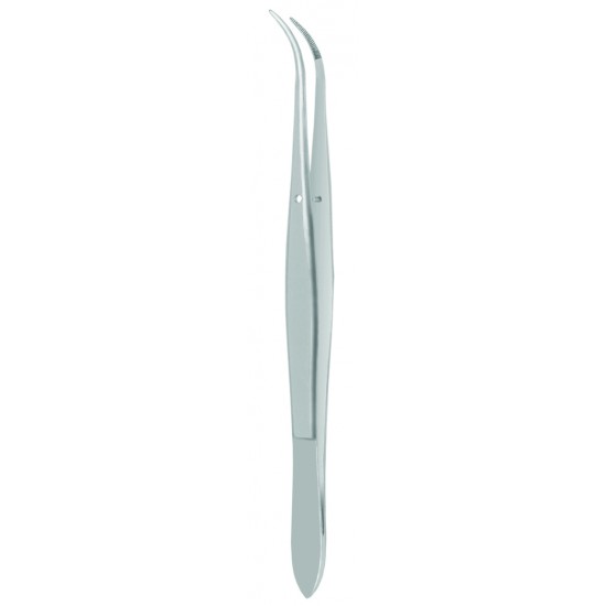 Perry Dental Forceps, Fig. 1