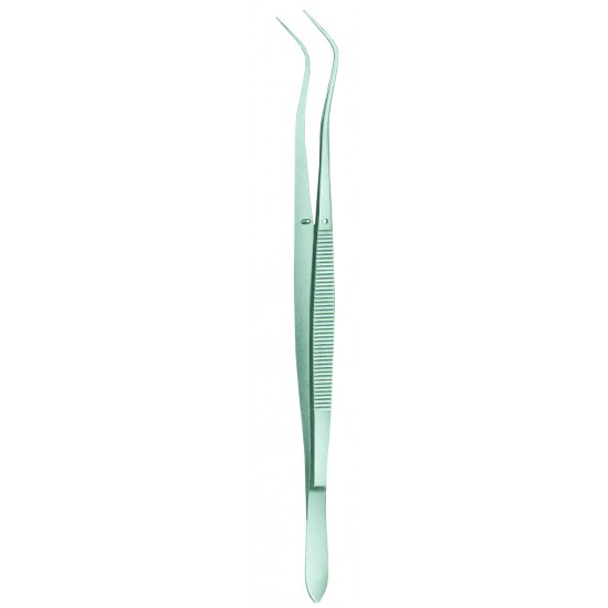 Meriam Smooth Dental Forceps