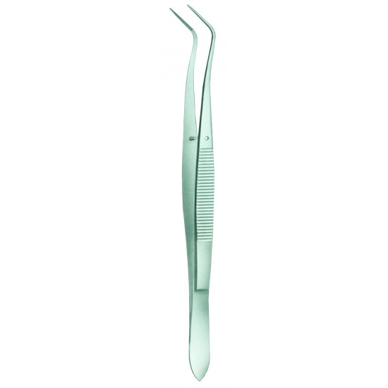 Meriam Serrated Dental Forceps