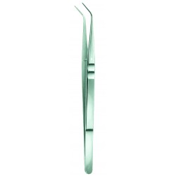 Serrated Dental Forceps