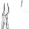 Extracting Forceps English Pattern, Fig: 51