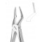 Extracting Forceps English Pattern, Fig: 51C