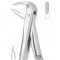Extracting Forceps English Pattern, Fig: 74M