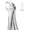 Extracting Forceps English Pattern, Fig: 86A