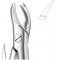 Extracting Forceps English Pattern, Fig: 89