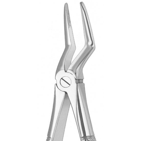 Extracting Forceps English Pattern, Fig: 235